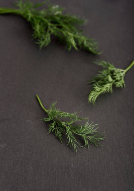 Siyah taş yüzeyinde taze yeşil dereotu