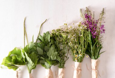 Masada taze şifalı bitki demetleri