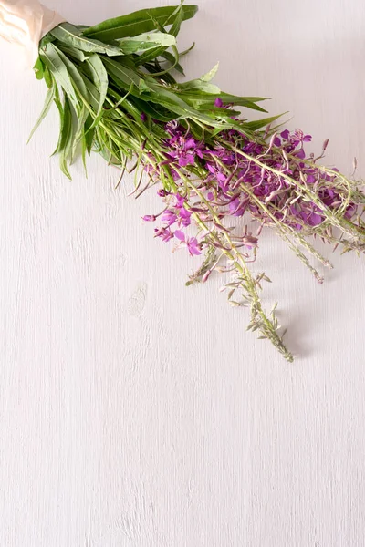 Paquete de sauce-hierba medicinal fresca sobre la mesa — Foto de Stock