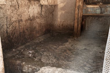 Ahırda gübre. Cowshed ev grubundaki