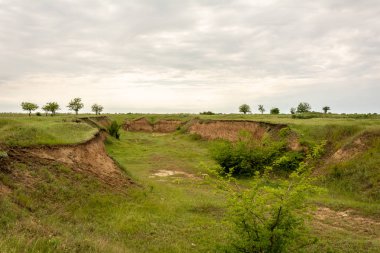 Kum madencilik otlar, ağaçlar ve çalılar ile büyümüş eski Kanyon