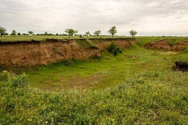 Kum madencilik otlar, ağaçlar ve çalılar ile büyümüş eski Kanyon