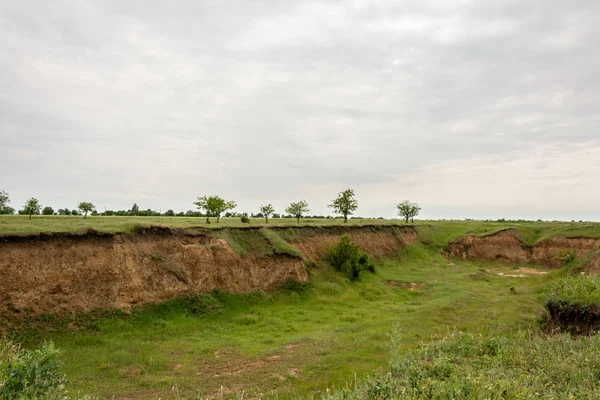 Kum madencilik otlar, ağaçlar ve çalılar ile büyümüş eski Kanyon
