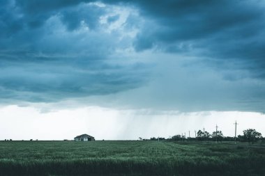Yatay yağmur. Kırsal manzara, yağmur buğday alan, moody etkisi