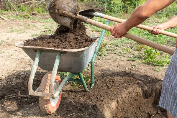 Workers Pour Earth Pit Septic Tank Wheelbarrow — Stock Photo, Image