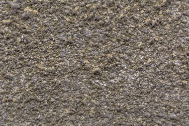 Beton duvar doku arka plan. Doku duvar kabukları böcek. Dokusal duvar boyalı. Böceği etkisi.