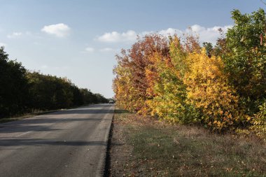 Yol boyunca Sonbahar manzara, Ukrayna, Kuchurgan