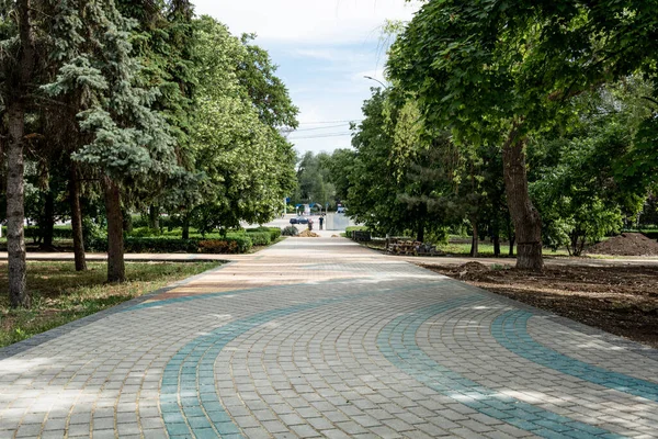 Colocando Lajes Pavimentação Concreto Coloridas Parque Trabalhadores Profissionais Pedreiros Estão — Fotografia de Stock