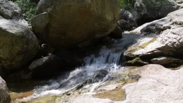 Eau Précipite Dans Petite Cascade Ruisseau — Video