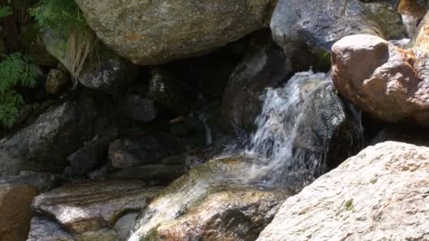 Das Wasser Rauscht Hinunter Den Kleinen Wasserfall Des Baches — Stockvideo