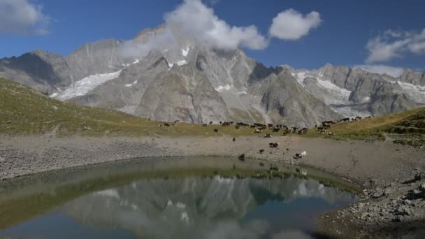 Zeitraffer am Montblanc-Massiv — Stockvideo