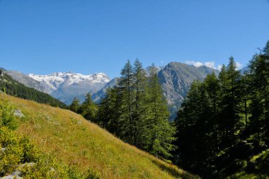 Monterosa Gressoney Vadisi 'nden görüldü.