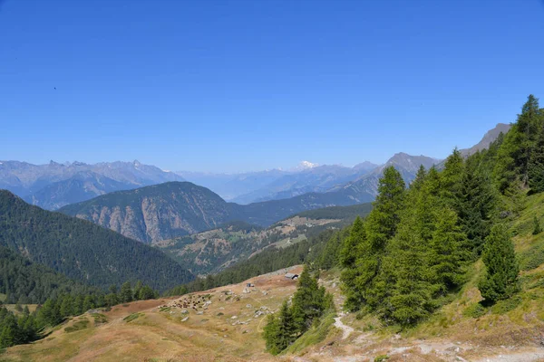 Punta Regina 'yı çevreleyen dağların panoraması Aosta Vadisi' ndeki Gressoney ve Champoluc vadileri arasındaki sınırda.