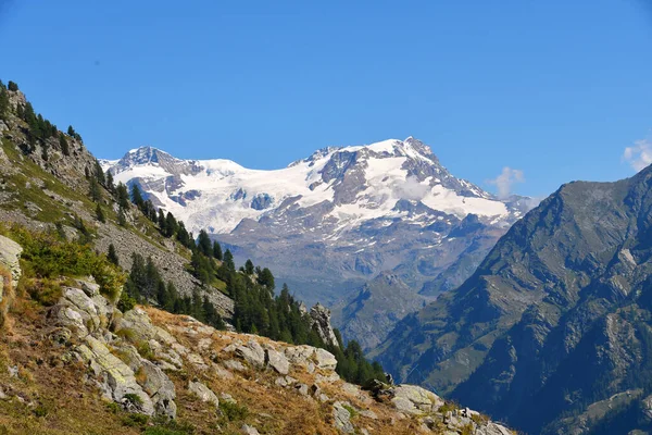 Monterosa Sett Utifrån Gressoneydalen — Stockfoto