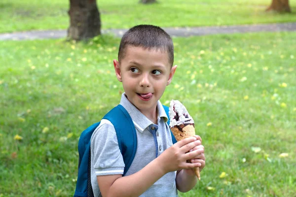 Niño alegre come helado en un parque al aire libre Fotos de stock libres de derechos