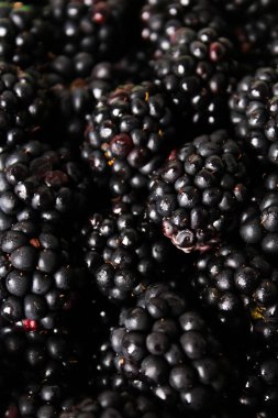Yaz berry, doğal, organik böğürtlen