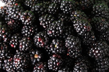 Yaz berry, doğal, organik böğürtlen