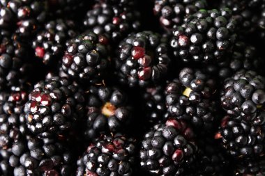 Yaz berry, doğal, organik böğürtlen