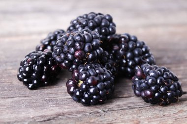 Yaz berry, doğal, organik böğürtlen