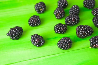 Doğal, organik böğürtlen .summer berry