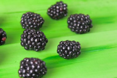 Doğal, organik böğürtlen .summer berry