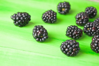 Doğal, organik böğürtlen .summer berry