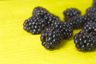 Doğal, organik böğürtlen .summer berry