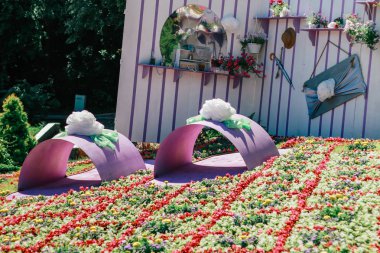 Sergi çiçek, doğal arka plan