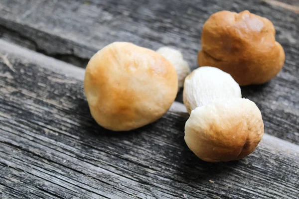 Cogumelos Brancos Fundo Madeira — Fotografia de Stock