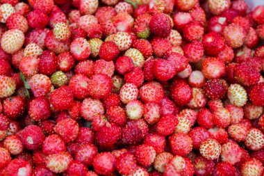 Doğal, organik yabani çilek