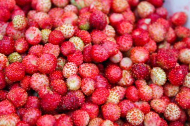 Doğal, organik yabani çilek