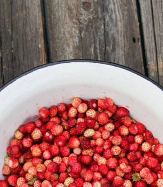 Doğal, organik yabani çilek