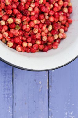 Doğal, organik yabani çilek