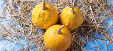 Kabak saman ahşap arka plan üzerinde üzerinde