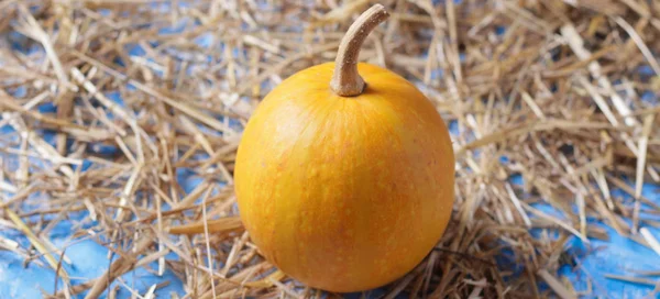 Pumpkin Hay Wooden Background — Stock Photo, Image
