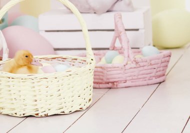 Paskalya composition.rabbit, ördek