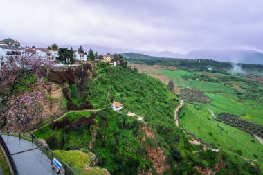 Ronda, İspanya - Rio Guadalevin manzaralı ve bahar yağmurundan sonra yemyeşil bir vadisi olan dramatik bir uçurum kenti.