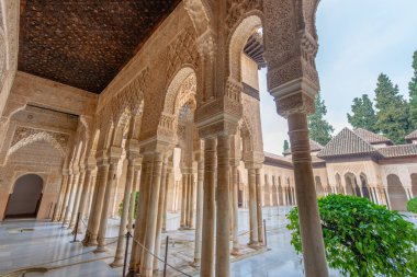 Orta çeşmenin etrafını saran karmaşık Fas kemerleri ve ince sütunlar su, süt, şarap ve bal nehirlerini temsil eden Alhambra Sarayı, Granada, İspanya 'daki Aslanlar Mahkemesi' nde 12 aslanla çevrilidir..