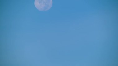 Ay, Shulin, New Taipei City, Tayvan 'daki Dadao Dağı' ndan açık mavi bir zemin altında yakalanan sonbahar şafağının ilk saatlerinde yavaş yavaş alçalıyor..