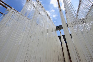 El yapımı somen eriştesi, Huatan Kasabası, Changhua County, Tayvan 'dan geleneksel bir yemek, güneşte kurutulmak üzere asılır..