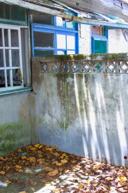 Tayvan 'ın Taoyuan şehrindeki Xian Guang Askeri Akraba Köyü Kültür Parkı' nda terk edilmiş bir avlu köşesinde yıpranmış duvarlar ve dağınık yapraklarla.