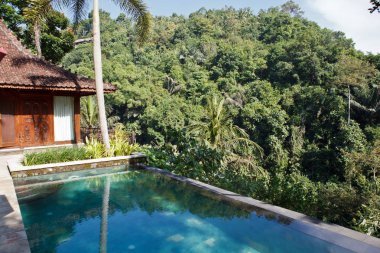 orman tropik havuzlu villa