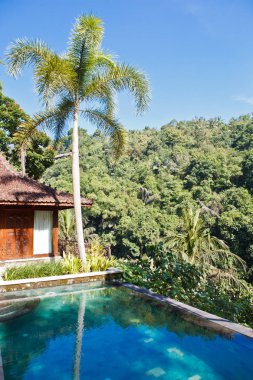 orman tropik havuzlu villa