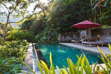 orman tropik havuzlu villa