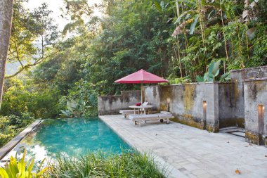 orman tropik havuzlu villa