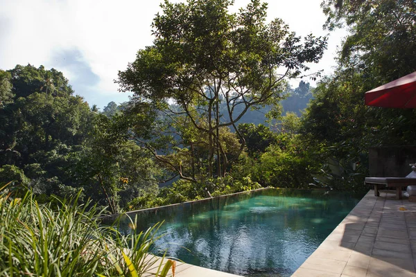 orman tropik havuzlu villa