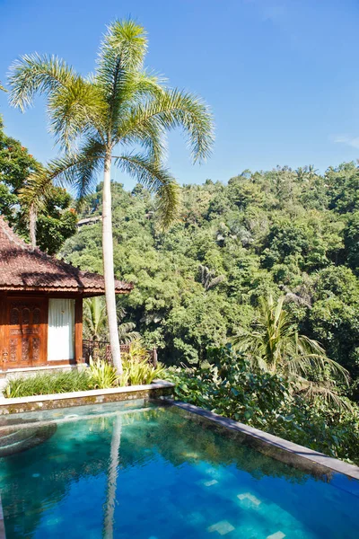 丛林热带泳池别墅 — 图库照片