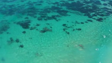 okyanus su hareket dalgaları