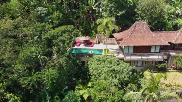 Zwrotnik Villa Basen Kobiet Pływania Ubud Bali Góry — Wideo stockowe