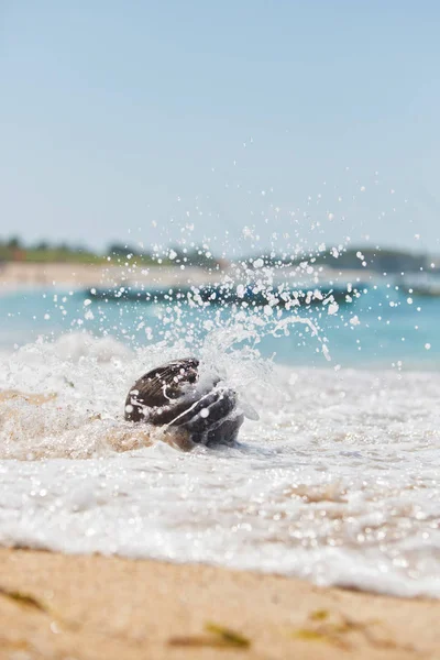 Coco Costa Oceânica — Fotografia de Stock